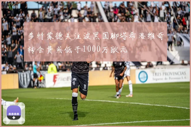 多特蒙德关注波黑国脚塔希洛维奇转会费或低于1000万欧元